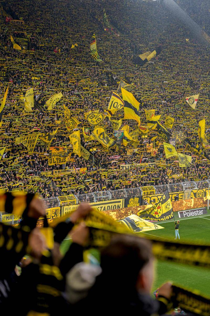 开元娱乐-包含集结日全明星赛传出新动向；巴黎圣日耳曼战术微调；管理层表态——压力陡增；高层口径保持一致的词条